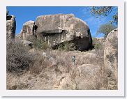 14SerengetiDayGameDrive - 028 * Pascal checking for lions by throwing a rock against the koppie to see what sits up...